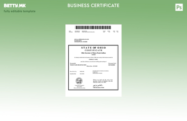 модерен стил Регистрација на трговско име во САД Охајо Шаблон за Word и PDF